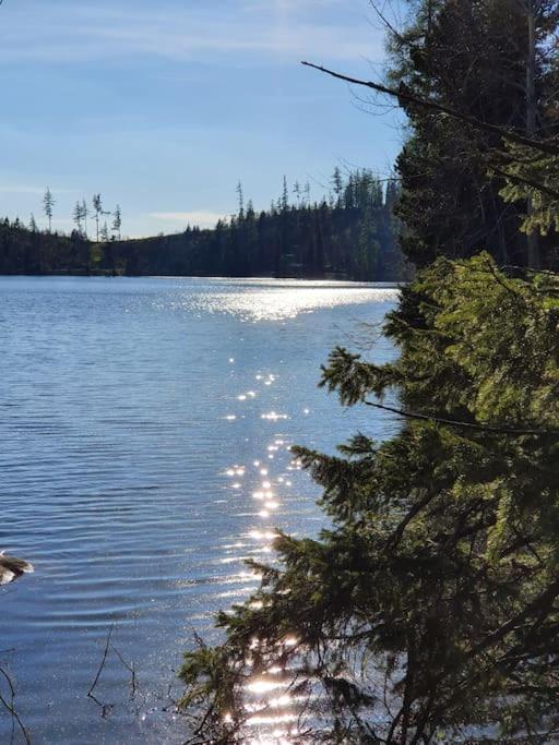 Štrbské Pleso Apartman Ve Vysokych Tatrach מראה חיצוני תמונה